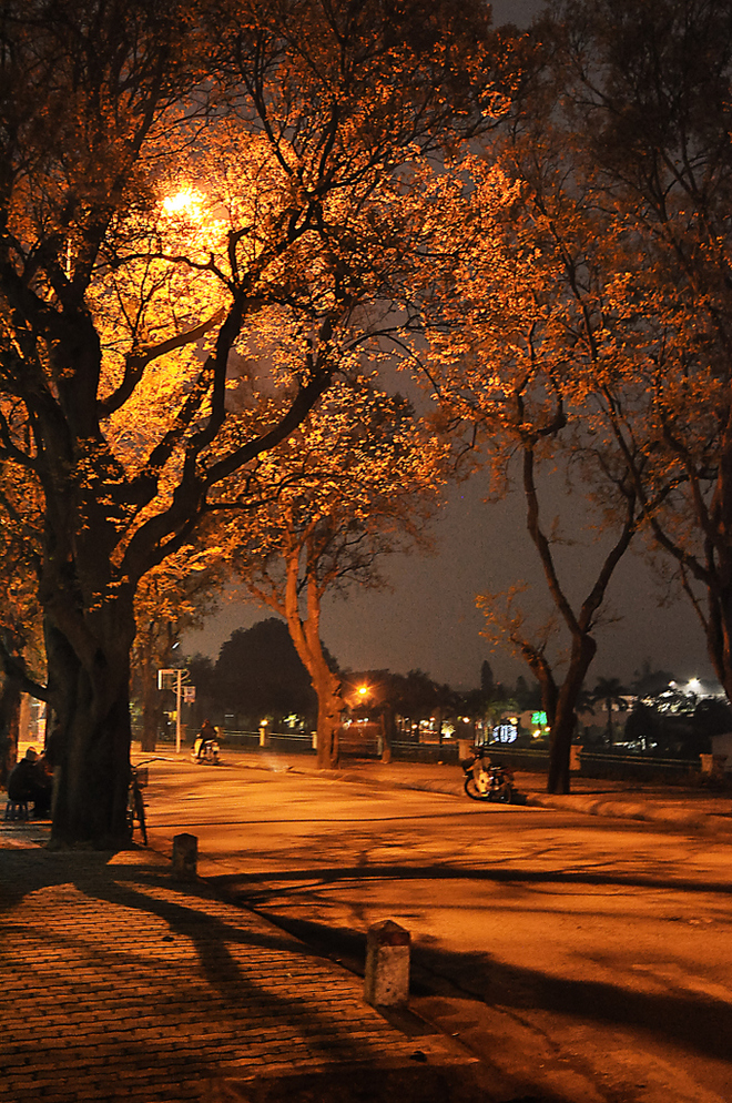 Peaceful And Quiet Hanoi At Night