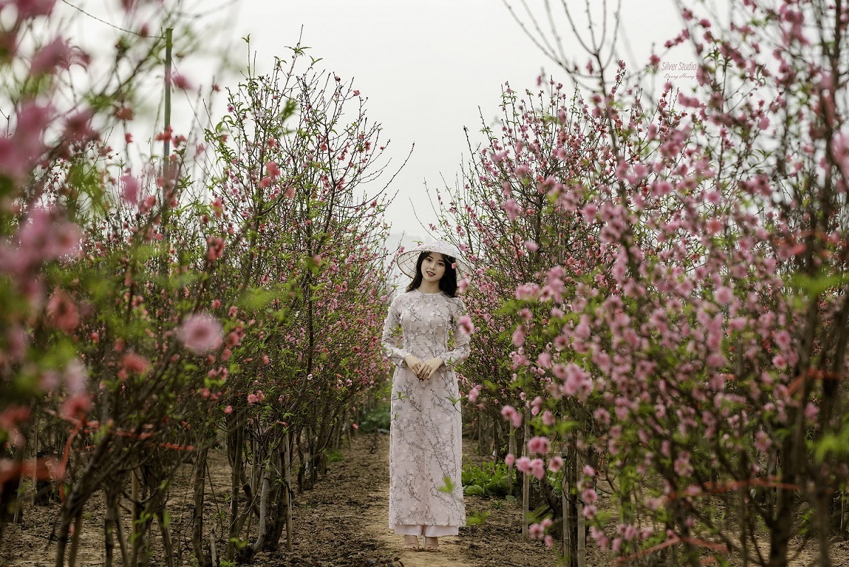 Vietnam is in the top of the most beautiful spring flower viewing spot