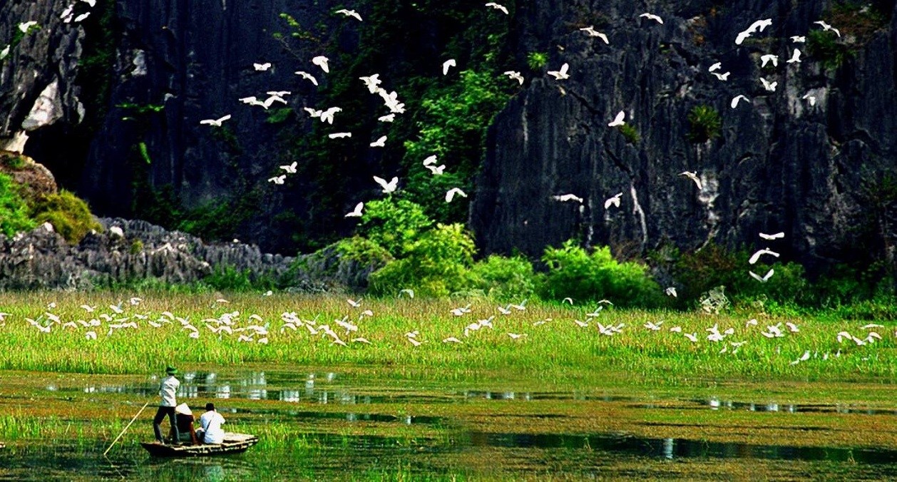 Thung Nham bird garden